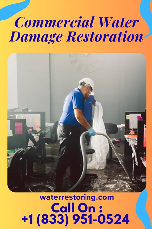 Commercial Water Damage Restoration in Adelino, NM